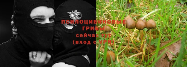 каннабис Няндома